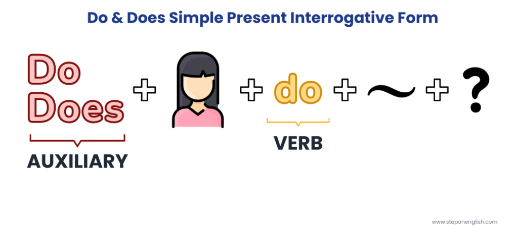 Do and Does in Simple Present interrogative form