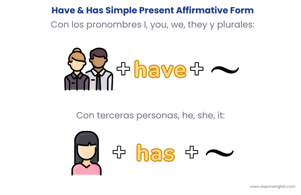 Have & Has in Simple Present affirmative form