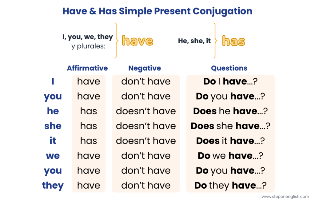 Have and has in the simple present – affirmative, negative and interrogative forms