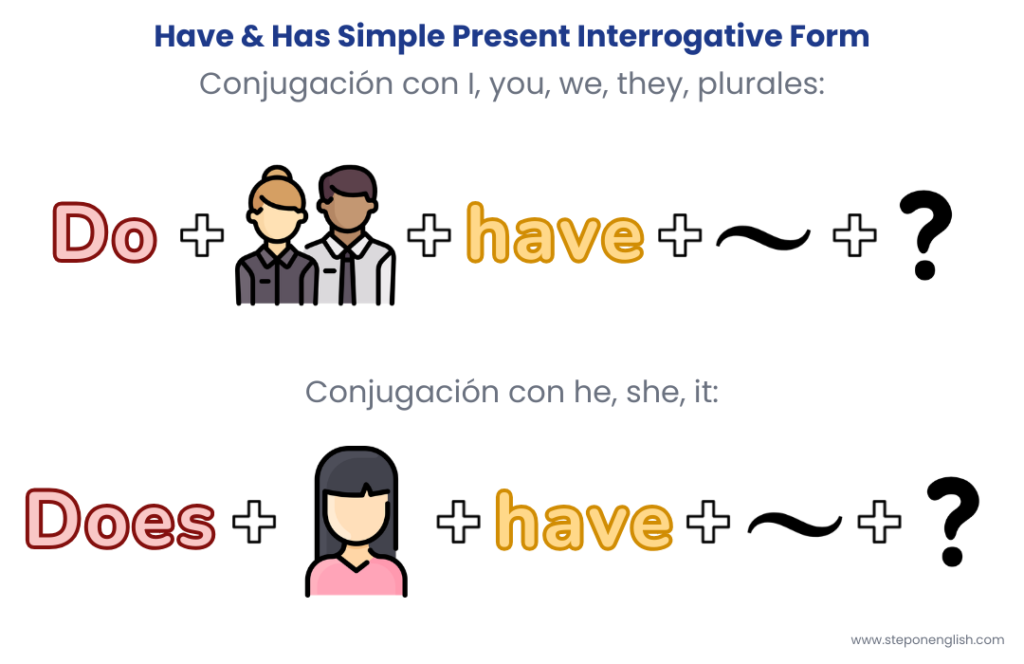 Have & Has in Simple Present interrogative form